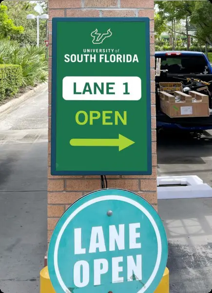 university of south florida